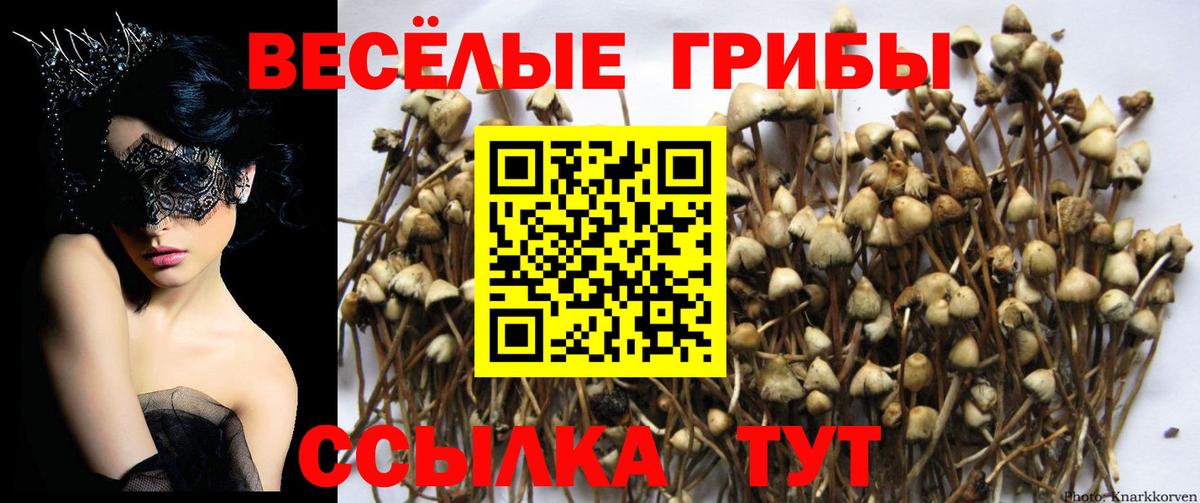 Псилоцибиновые грибы MAGIC MUSHROOMS  Вход с VPN  Октябрьский 